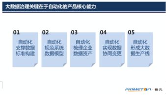以自動化為核心的自服務大數(shù)據(jù)治理——普元王軒在第二屆數(shù)據(jù)標準化及治理大會上的分享